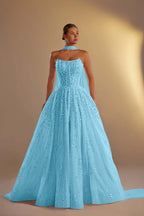 Strapless Sleeveless Long A Line Prom Dress With Pleated Beading WQ0308