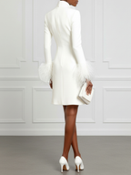 White Feather-trimmed Buckle Classic V Neck Stand Collar Long Sleeve A-Line Mini Dress