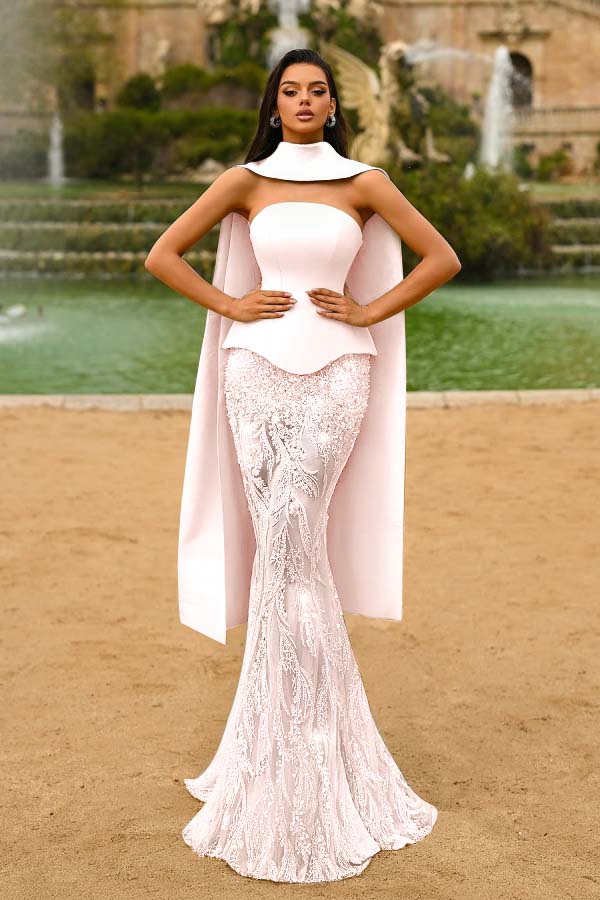 Strapless Sleeveless Long Mermaid Prom Dress With Appliques WQ0321